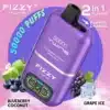 BLUEBERRY COCONUT/GRAPE ICE