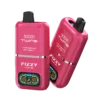 STRAWBERRY ICE/FIZZY CHERRY